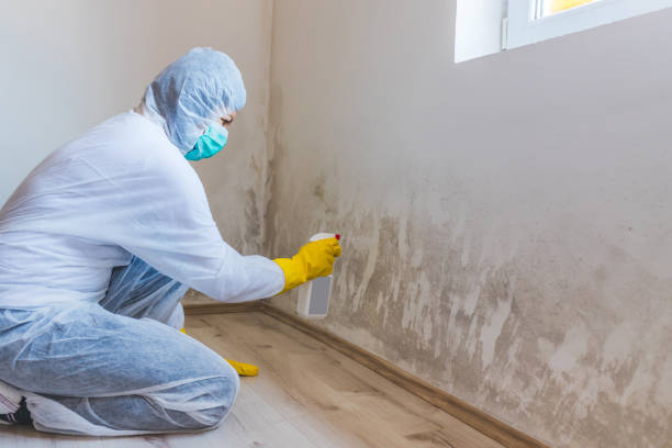 Mold Remediation specialist working in Mesquite